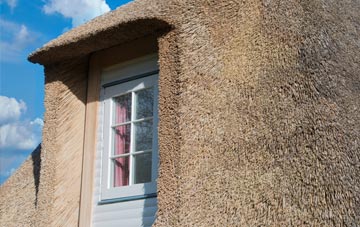 Stoneybank thatch roof disadvantages