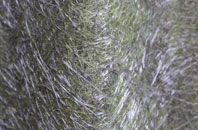 Stoneybank fibreglass roof work